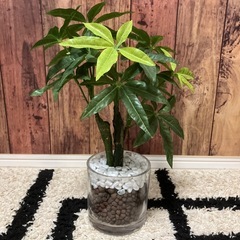 【中古】造花　インテリア　観葉植物好きの方にの画像