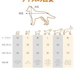 ほぼ新品！折り畳み式　犬、猫用ペットケージの画像