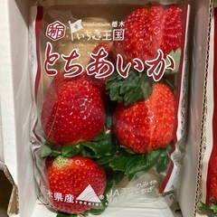 新鮮とちあいかイチゴの画像