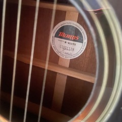 モーリス　アコースティックギターの画像