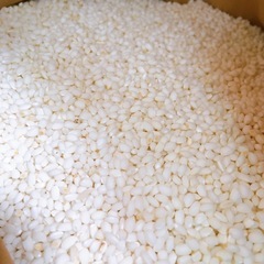 少サイズも可能 新米 もち米 こがねもち 玄米 令和7年 ②の画像