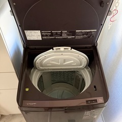 東芝 AW-12VP2 12kg 2022年製  美品✨の画像