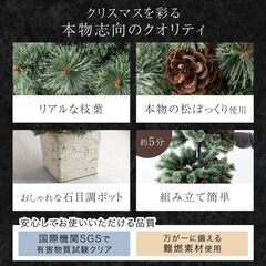 ※取引中/売約済***********　未使用/新品　訳あり特価　クリスマスツリー 150cm RENEW Liv Norr 石目調 ポット付き 松ぼっくり付き リアル ヌードツリー 組立簡単 北欧風 Christmas treeの画像