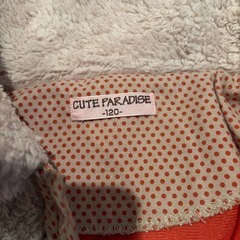 ファーベスト120の画像