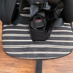 ジュニアシートの画像