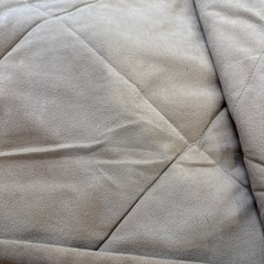 お話中[差し上げます]ラグ カーペット 敷きパッドの画像