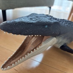 巨大 モササウルス 75cmの画像