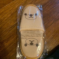 子供用スリッポン、サンダル、おまけのスリッパの画像