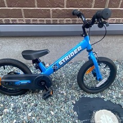 ストライダー14xの画像