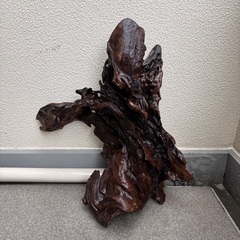巨大流木　値下げしました（半値の画像