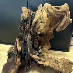 巨大流木　値下げしました（半値の画像