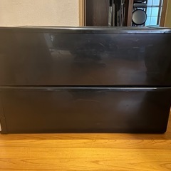 洋服タンス CLEAR•73  2段の画像