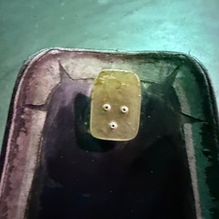 SOLDOUT‼︎
の画像