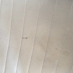 洗濯機/ベッド/ベッドフレーム　3点まとめて引き取ってくださる方ゆうせ優先の画像