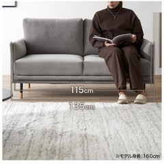 Francfranc2人掛けソファの画像