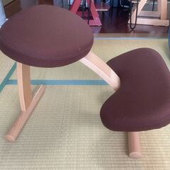 バランスイージー　バランスチェアの画像