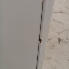 リユースのサカイ栃木店★ジモティ割あり★  TV台（キャスター付） ホワイト W119×D39×H49.5 クリーニング済み TC11710の画像