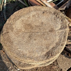 石のステップの画像