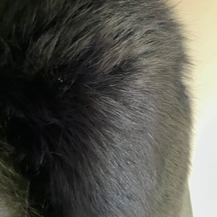 ロングコート　本革　レトロの画像