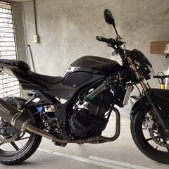 カワサキ　ニンジャ250R ジムカーナ　ストリートファイター　カスタム　値下げの画像