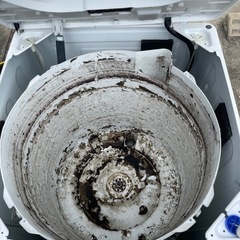 洗濯機クリーニング！【洗濯槽分解クリーニング】各種キャッシ…