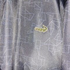 ちゃんちゃんこ　LACOSTE製？　防寒着も一緒にの画像