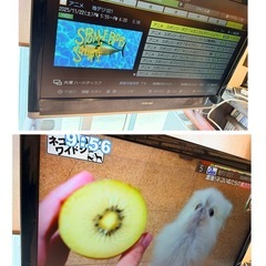 東芝REGZA 37H7000 [37インチ]の画像