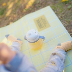 親子写真撮ります