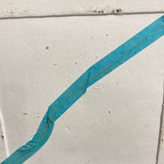 観賞植物用の鉢2個の画像