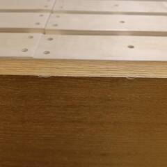 ロフトベッドの画像