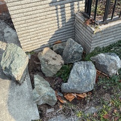 庭石の画像