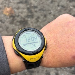 スント　ベクター　人気のイエローの画像