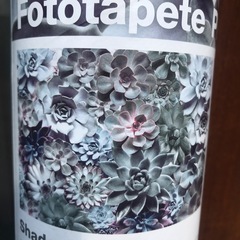 新品壁紙　多肉絵柄の画像