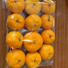 鹿児島　子みかん　お値引きできますの画像