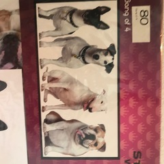 ウォールシールの画像