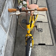 イオン限定カラー　ケッターサイクルの画像