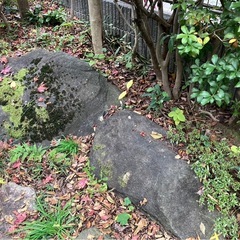 庭石の画像