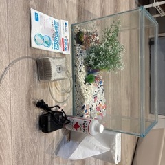 水槽　金魚飼育セットの画像