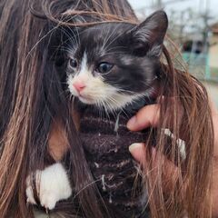 生後3ヶ月の男の子