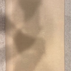 ロングフロアクッション flatty 中材 65×115cm(中古)ベージュ•茶色の画像