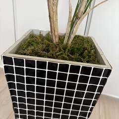 フェイクグリーンの画像