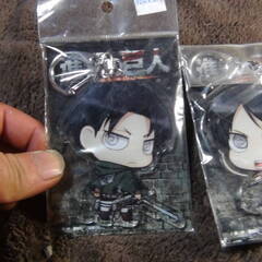 物々交換 進撃の巨人 キーホルダー 3個まとめて 中身未確認 恐らく傷あり 現状品 重たい家電製品と交換の画像