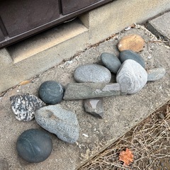 庭石の画像