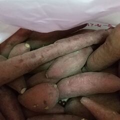 6  🍠さつまいもの画像