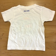 Okinawa ブルーシールアイスクリーム100㎝の画像