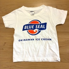 Okinawa ブルーシールアイスクリーム100㎝の画像