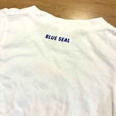 Okinawa ブルーシールアイスクリーム100㎝の画像