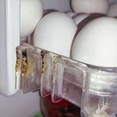 予約済　AQUA アクア 冷蔵庫(355L・右開き）ラグジュアリーシルバー AQR-361A-Sの画像