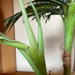 フェイク観葉植物2点の画像