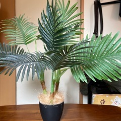 フェイク観葉植物2点の画像